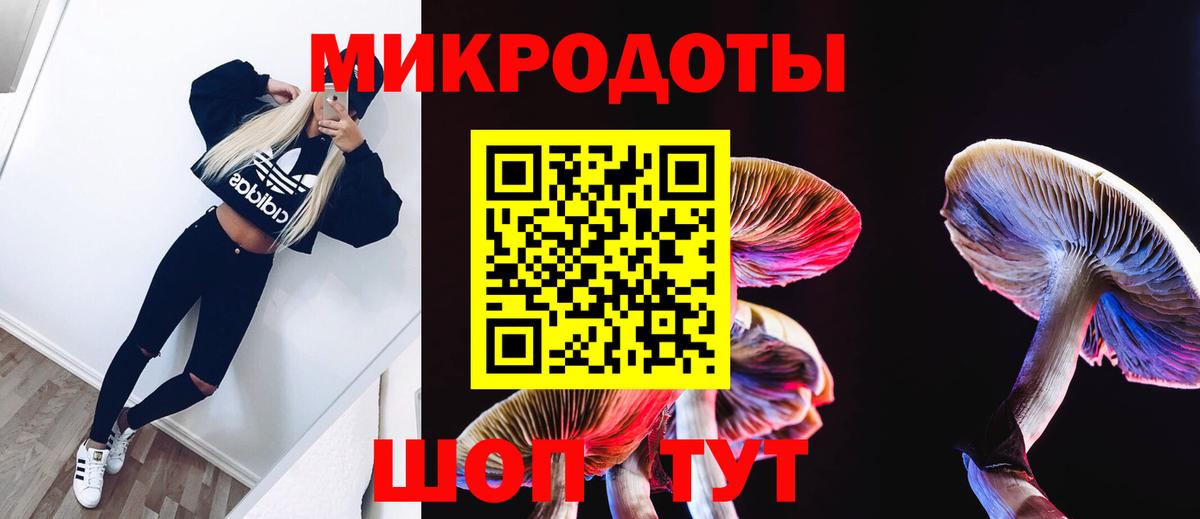 Псилоцибиновые грибы Psilocybe  Вход с VPN  Всеволожск 